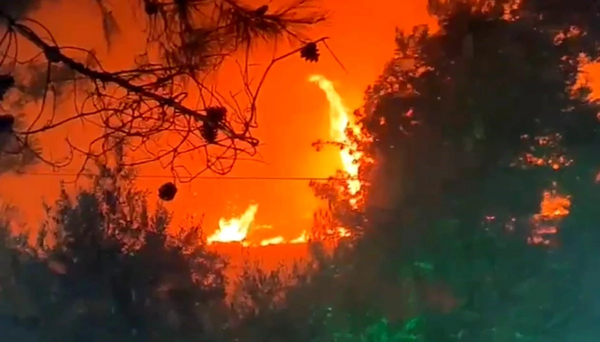 Şanlıurfa’da Ormanlık Alanda Çıkan Yangın Kısa Sürede Söndürüldü